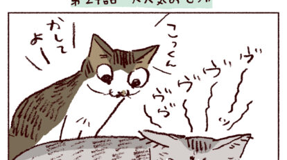 【猫マンガ】第２４話「大人気おもちゃ」｜スケラッコ「わたしうりひめよ」