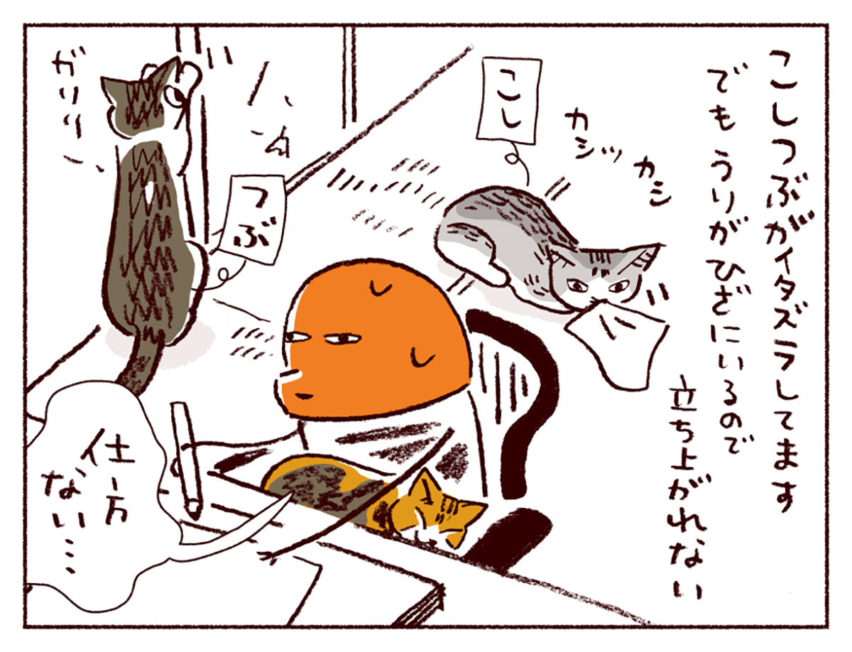 スケラッコ「わたしうりひめよ」 24話 猫マンガ
