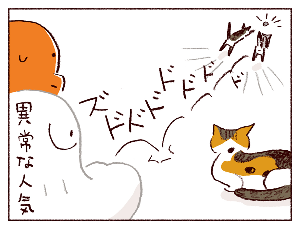 スケラッコ「わたしうりひめよ」 24話 猫マンガ