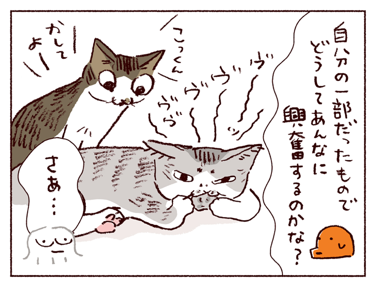 スケラッコ「わたしうりひめよ」 24話 猫マンガ