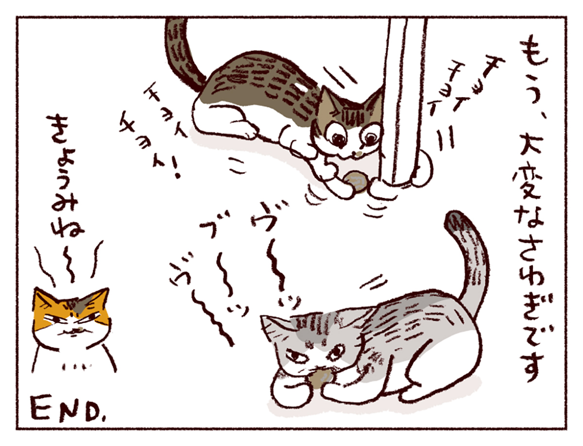 スケラッコ「わたしうりひめよ」 24話 猫マンガ