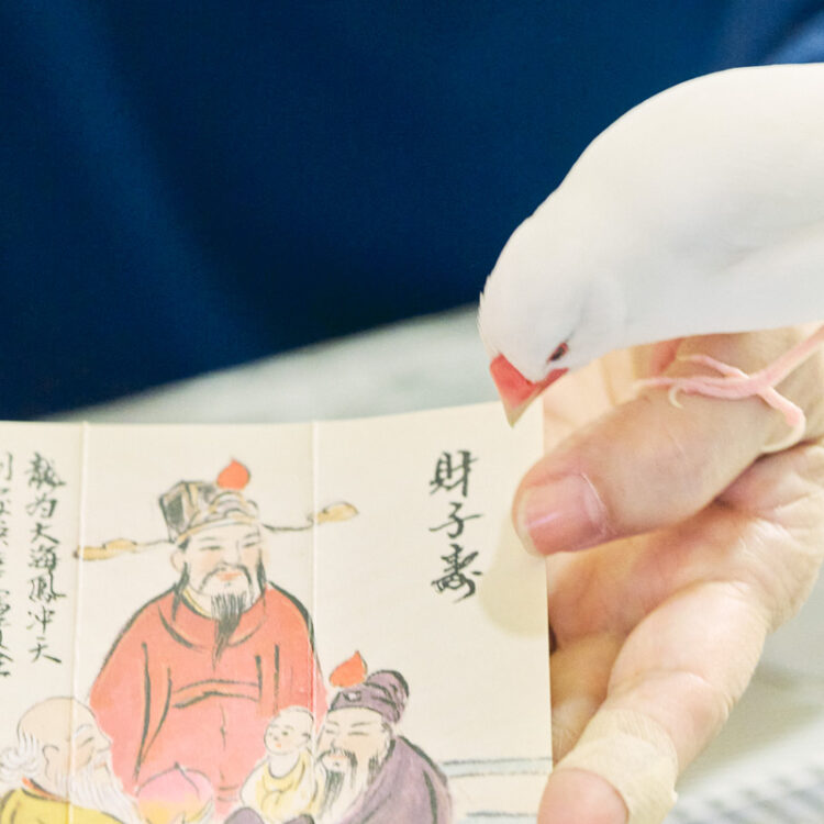 横浜中華街 占い 吉祥天女