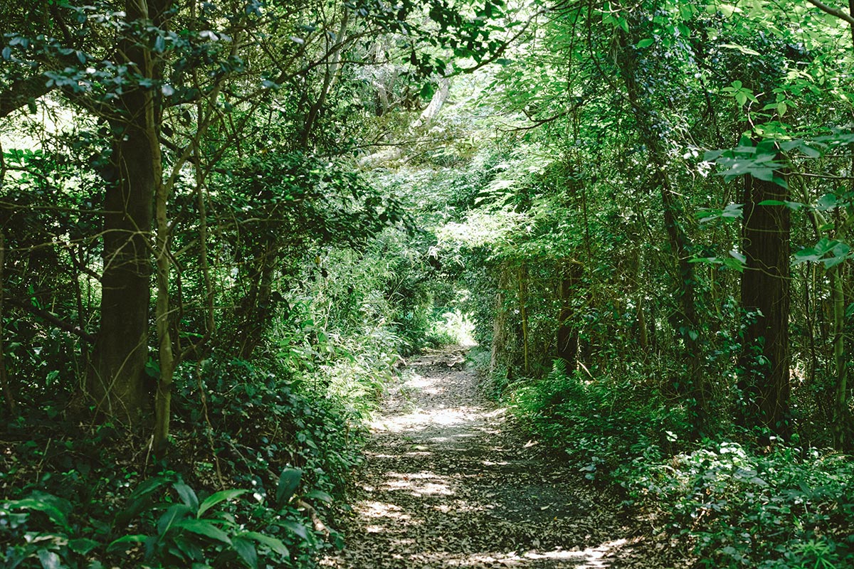 新島の十三社神社