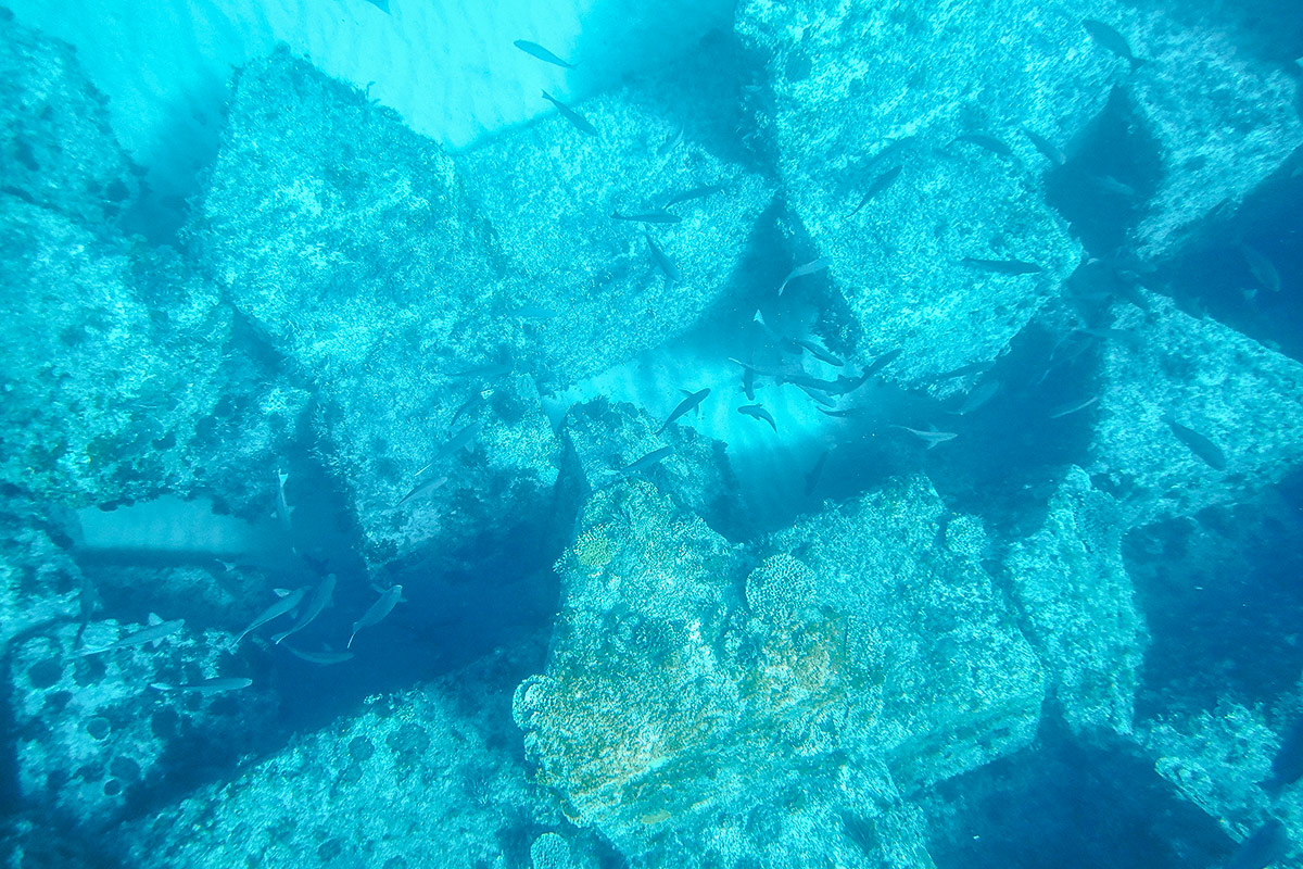 新島エコツアーズ YABIYO