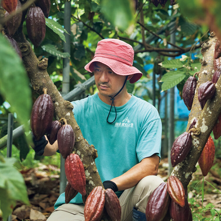 いくつもの品種が育つ自家農園でカカオのチェックをする川合さん。