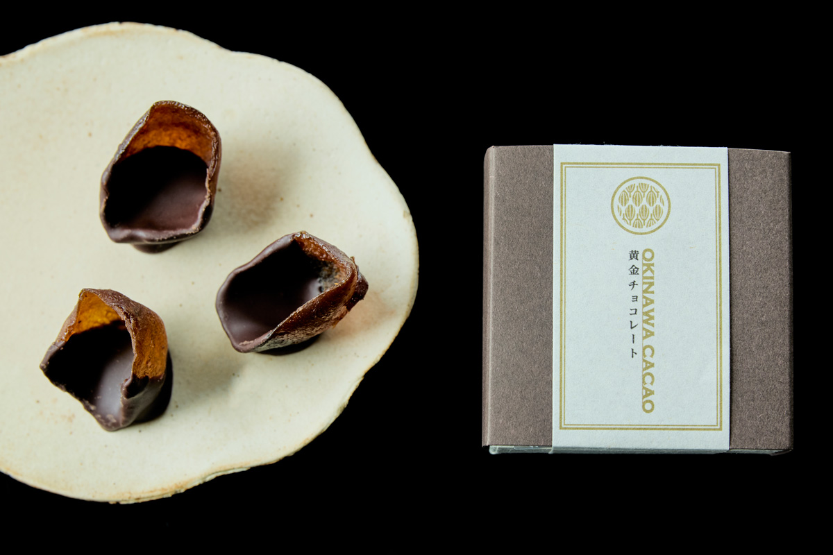 ※カカオ様限定　喜界島産カカオ苗 – 南国から届く特別な一株　2本セット ついにリリース。希少な沖縄産カカオ100%のショコラ。（Hanako