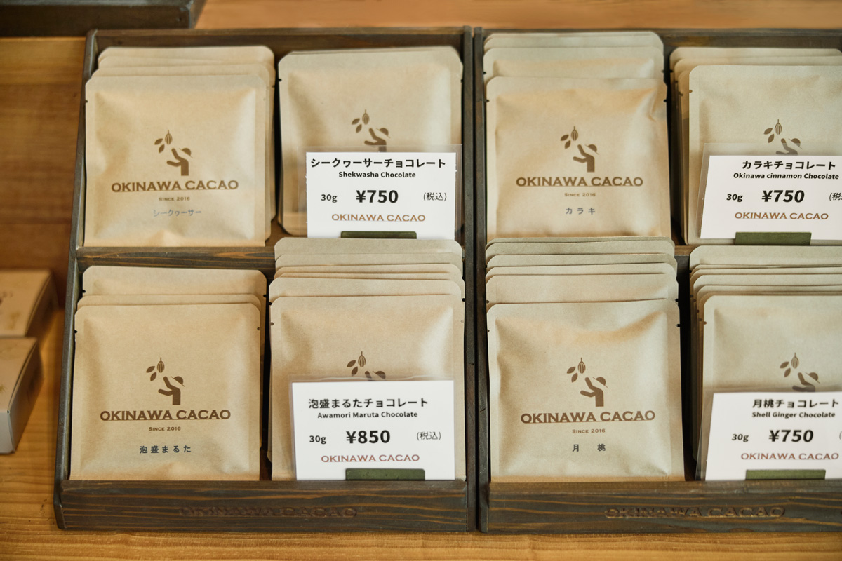 カカオ様限定 喜界島産カカオ苗 – 南国から届く特別な一株 2