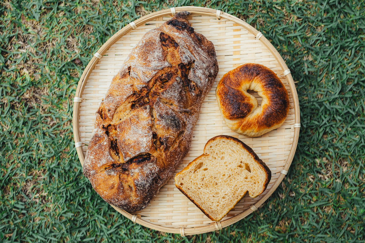 〈commons〉のパン