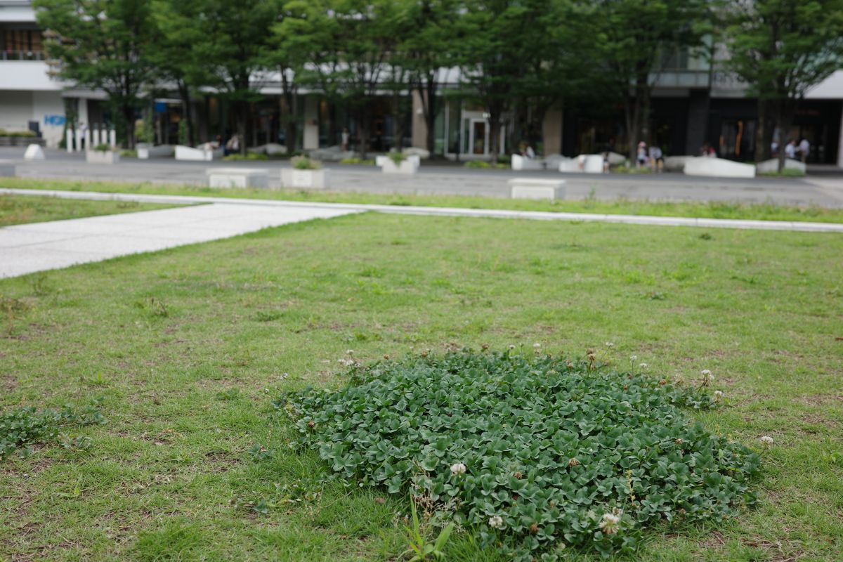 横浜美術館のピタゴラ展