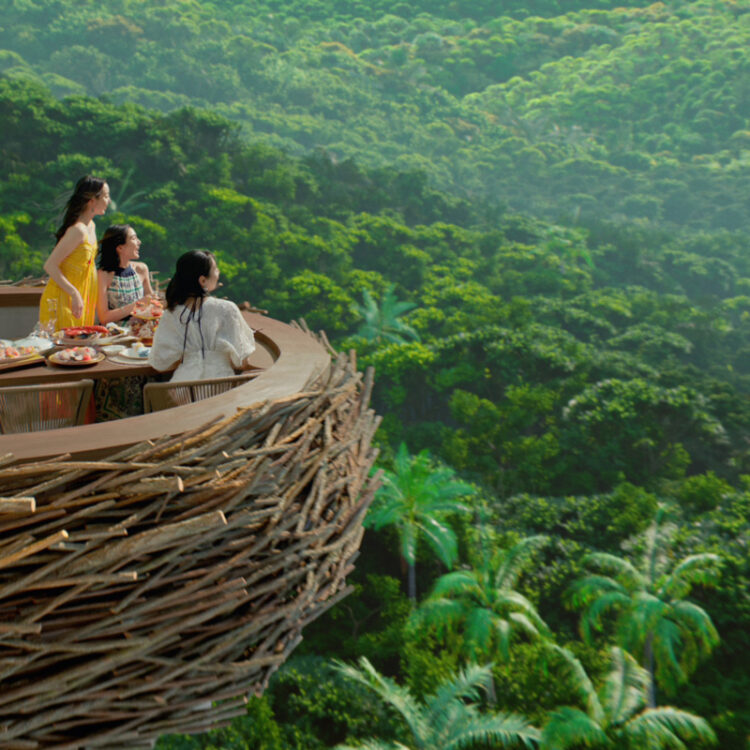 バーズネスト（鳥の巣）をイメージしたテラス席は8テーブル。