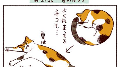 【猫マンガ】第２５話「夏のカタチ」｜スケラッコ「わたしうりひめよ」