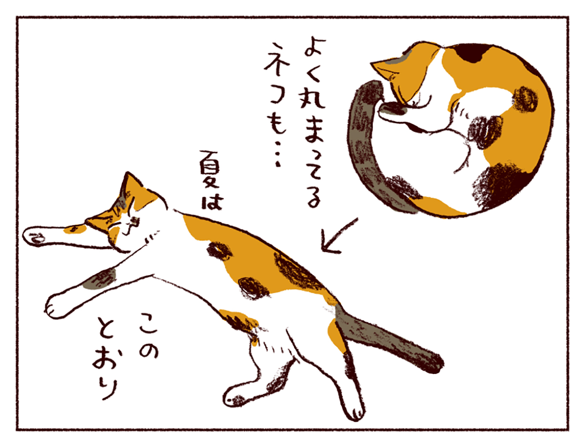 わたしうりひめよ スケラッコ 25話 わたしうりひめよ スケラッコ 25話