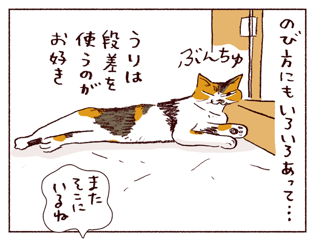 わたしうりひめよ スケラッコ 25話 わたしうりひめよ スケラッコ 25話