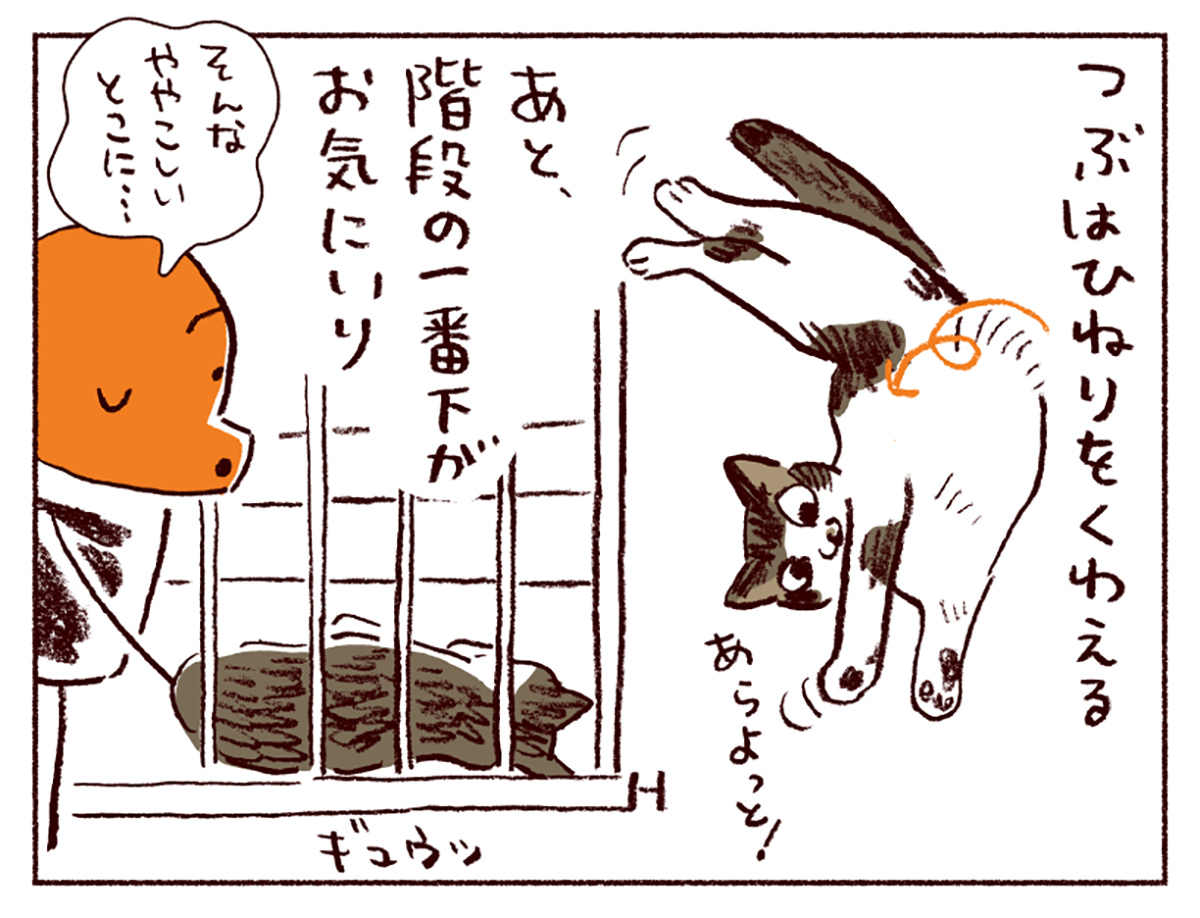 わたしうりひめよ スケラッコ 25話 わたしうりひめよ スケラッコ 25話