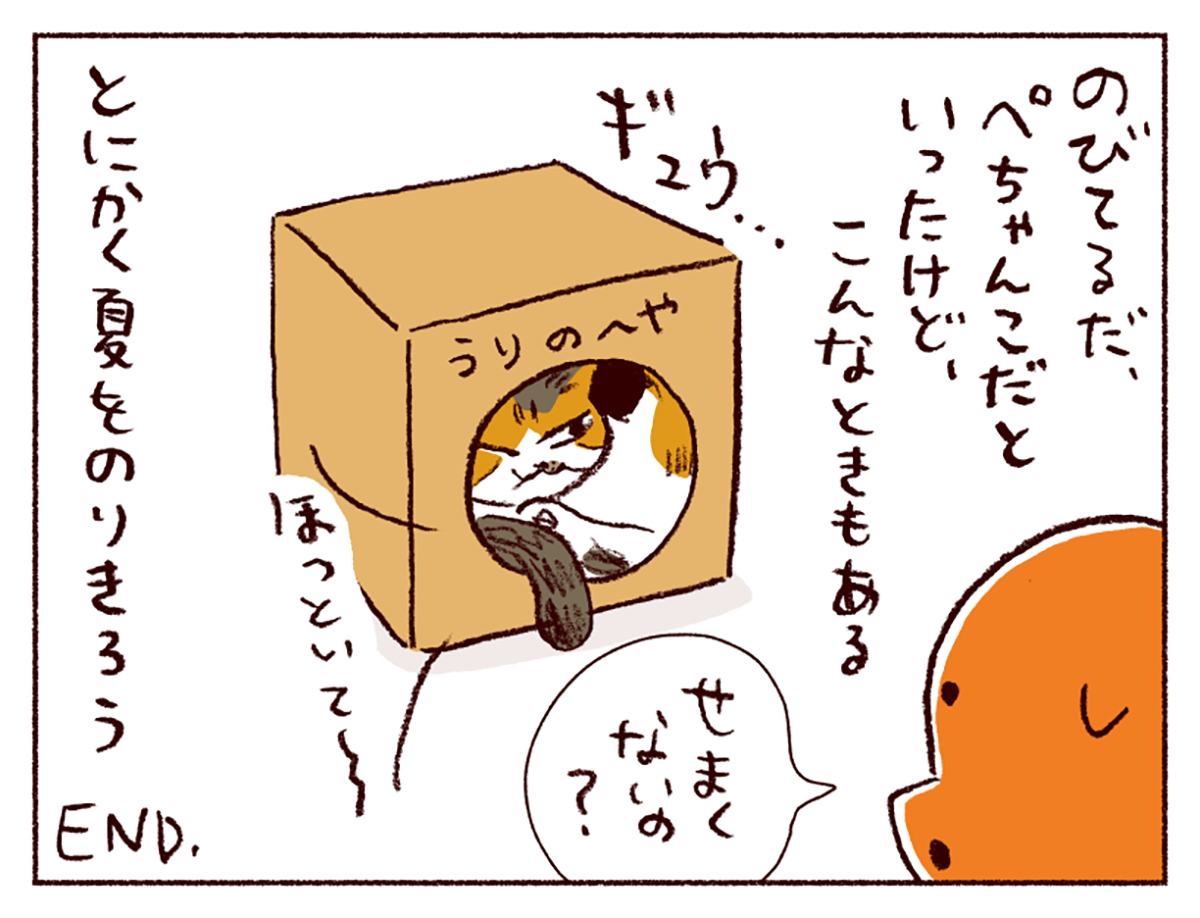 わたしうりひめよ スケラッコ 25話 わたしうりひめよ スケラッコ 25話