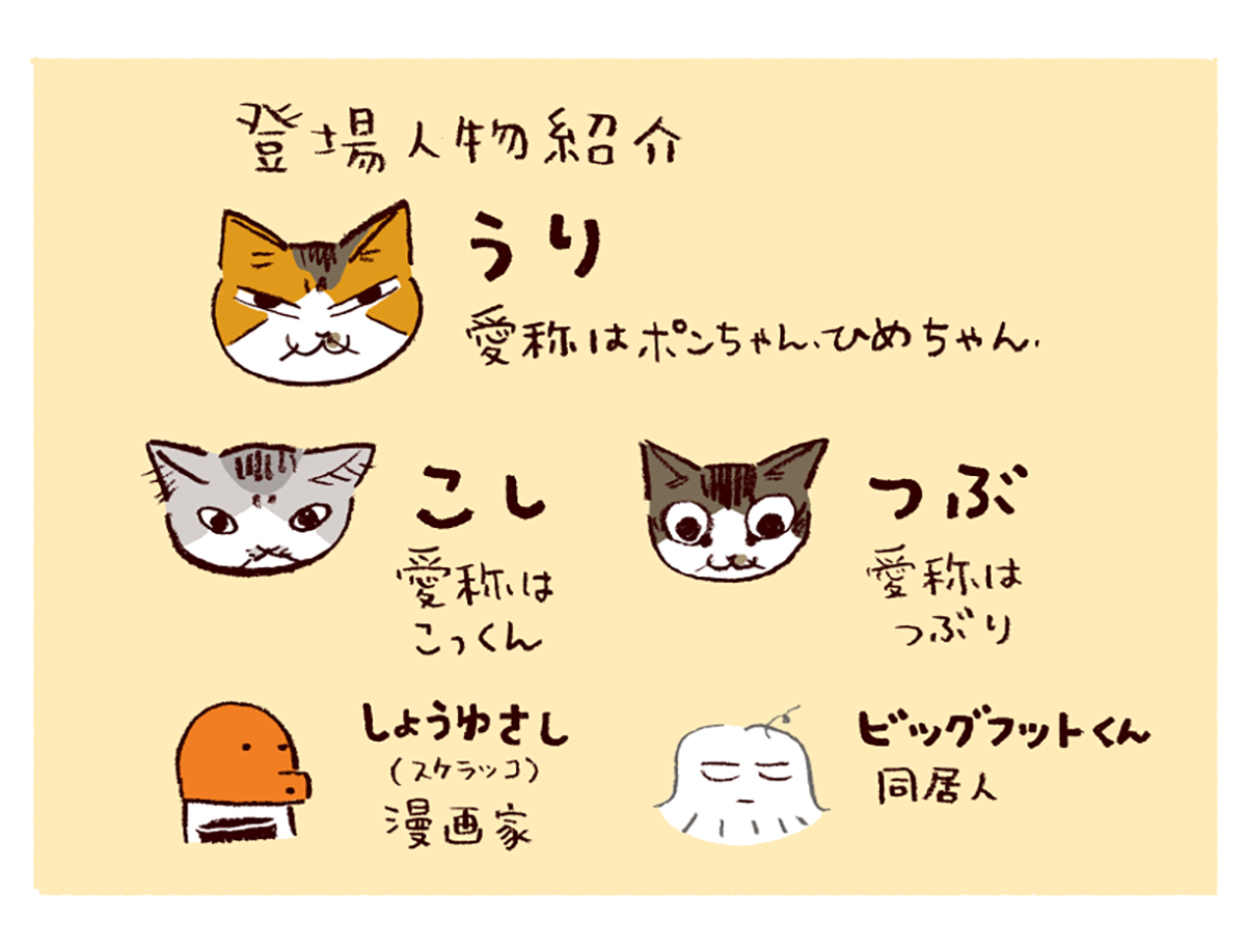 わたしうりひめよ スケラッコ 25話 わたしうりひめよ スケラッコ 25話