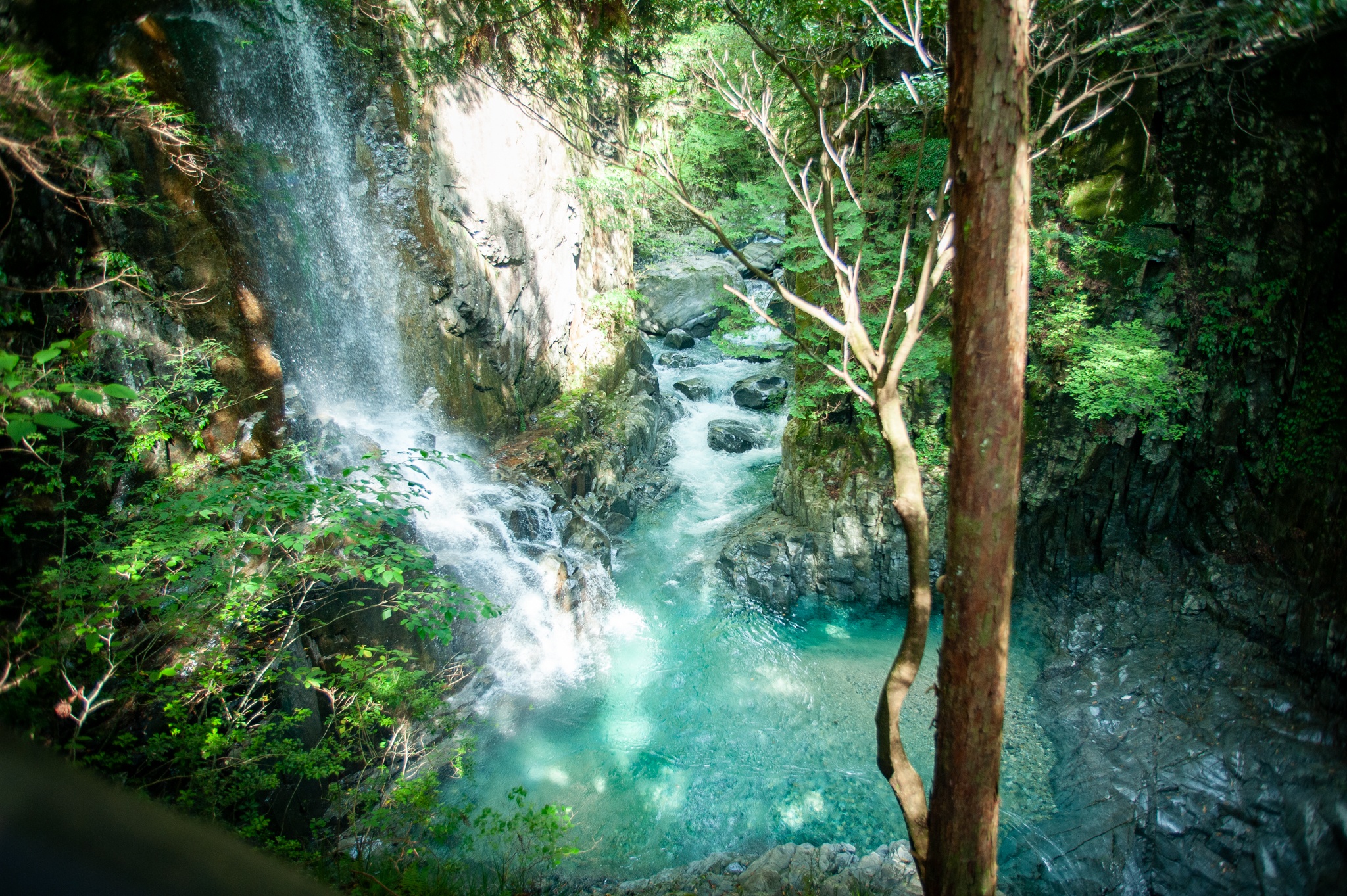 避暑地で涼しく過ごす夏旅｜森、川、地下神殿など癒しの旅先6選