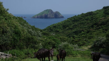 はじめまして、隠岐。流れる“風景”を見る隠岐の島旅最適解【前編】