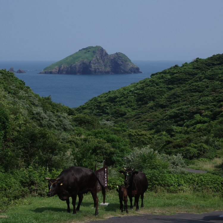 隠岐の島の風景 隠岐の島の風景