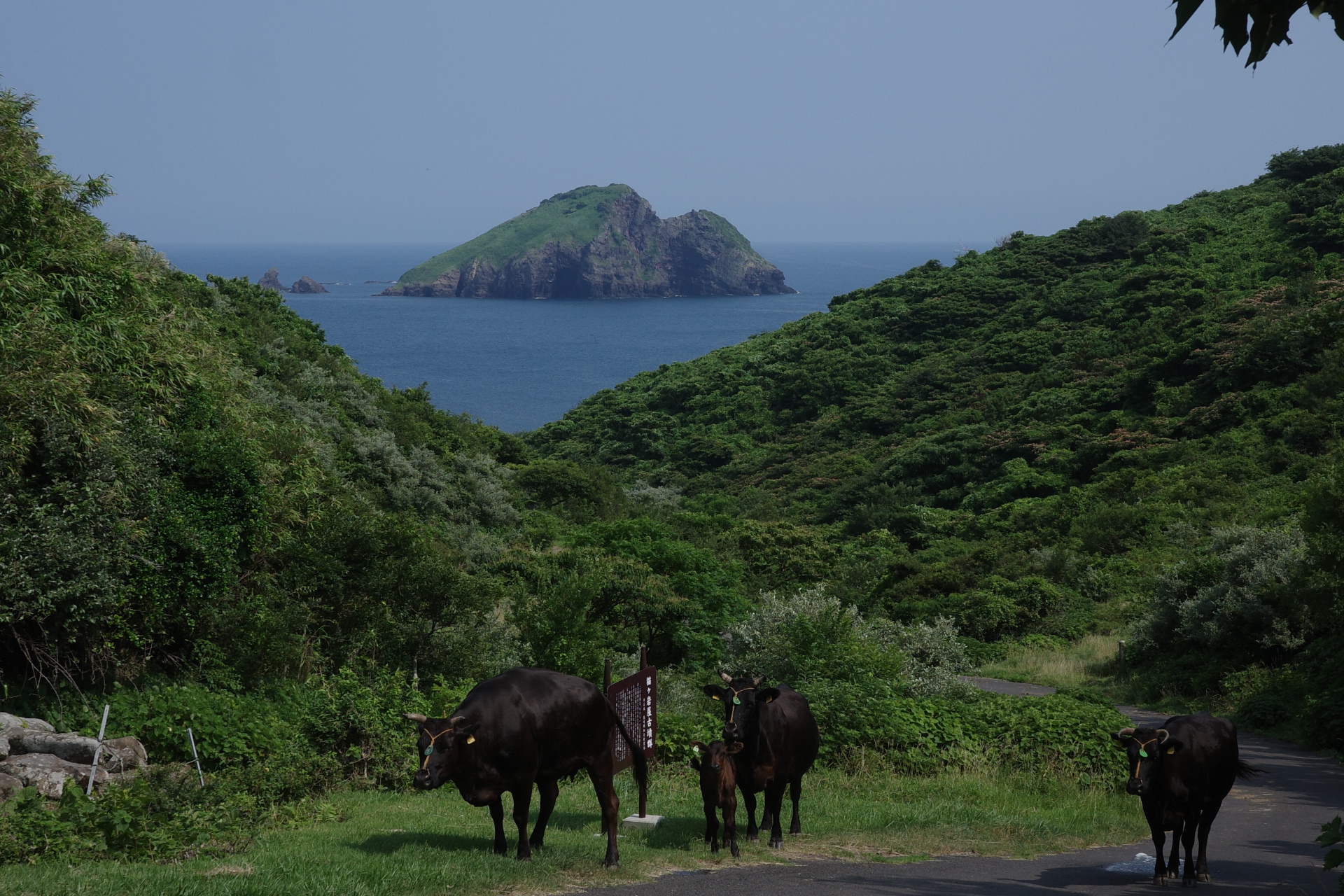 はじめまして、隠岐。流れる“風景”を見る隠岐の島旅最適解【前編】