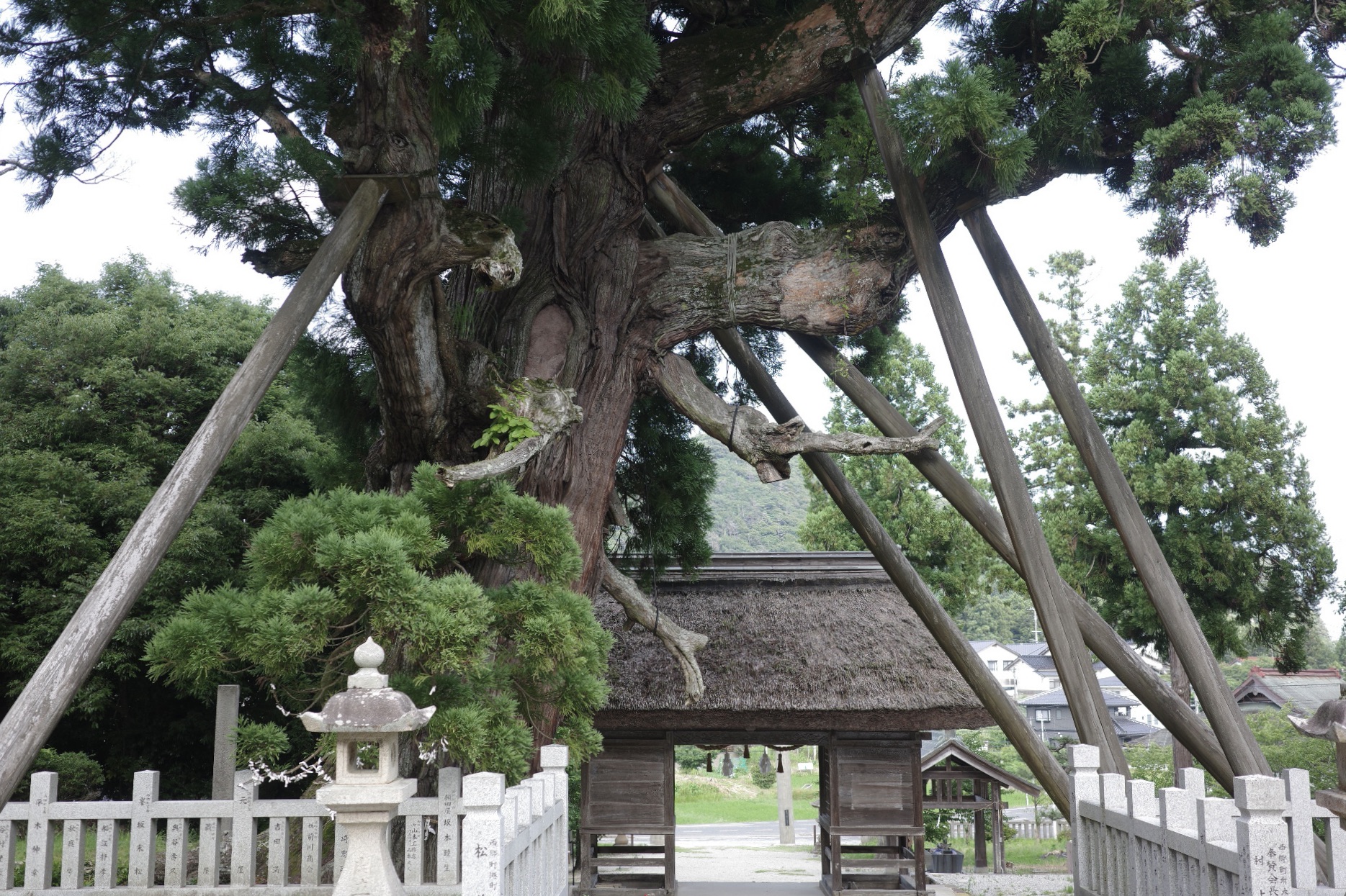 隠岐の〈玉若酢命神社〉