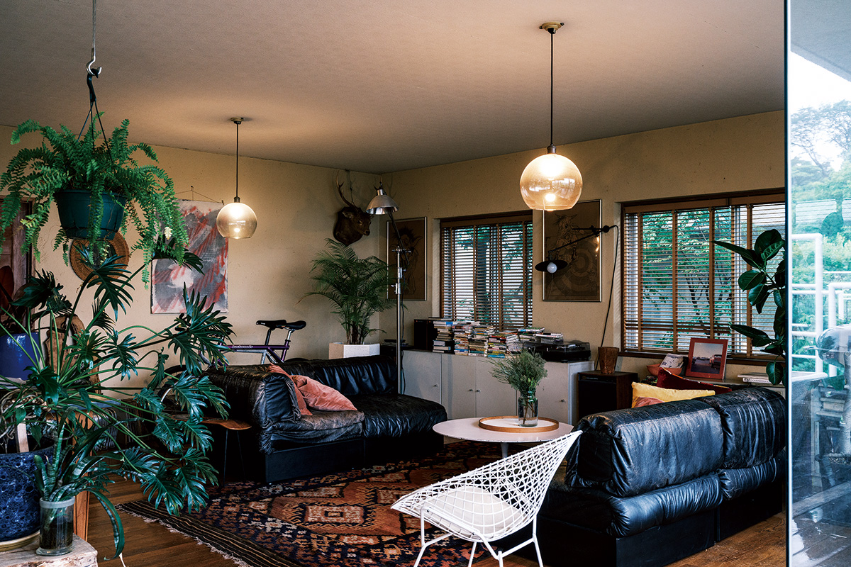 ヴィンテージソファ、〈ハリー・ベルトイア〉の「ダイヤモンドチェア」などが並ぶリビング。大型の観葉植物がよく似合う。ガラスのランプシェードは〈IKEA〉。 ヴィンテージソファ、〈ハリー・ベルトイア〉の「ダイヤモンドチェア」などが並ぶリビング。大型の観葉植物がよく似合う。ガラスのランプシェードは〈IKEA〉。