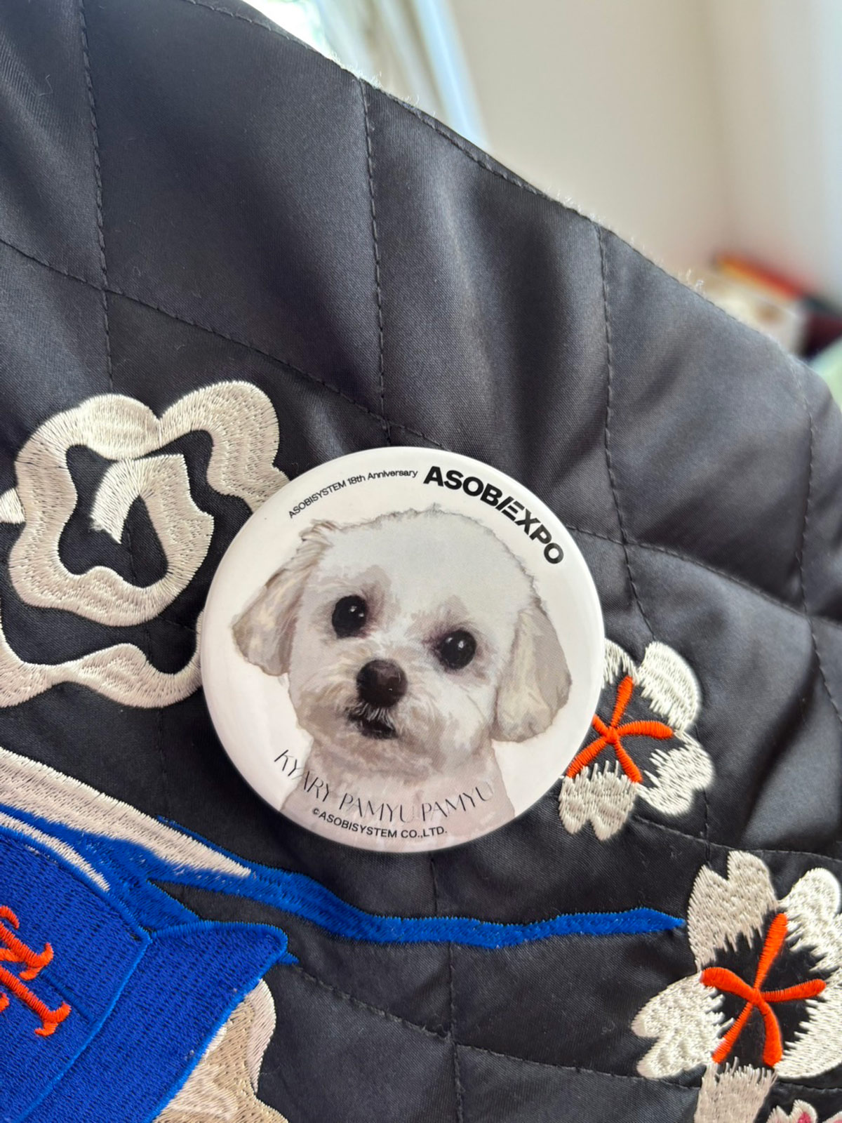 きゃりーぱみゅぱみゅの犬