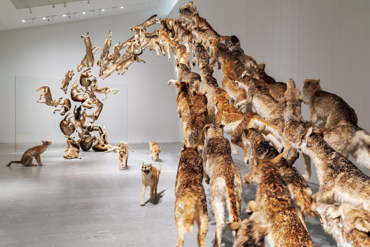 直島新美術館のヘッド・オン 蔡國強（2006年）