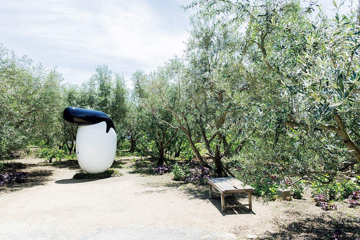 オリーブのリーゼント（2013年）