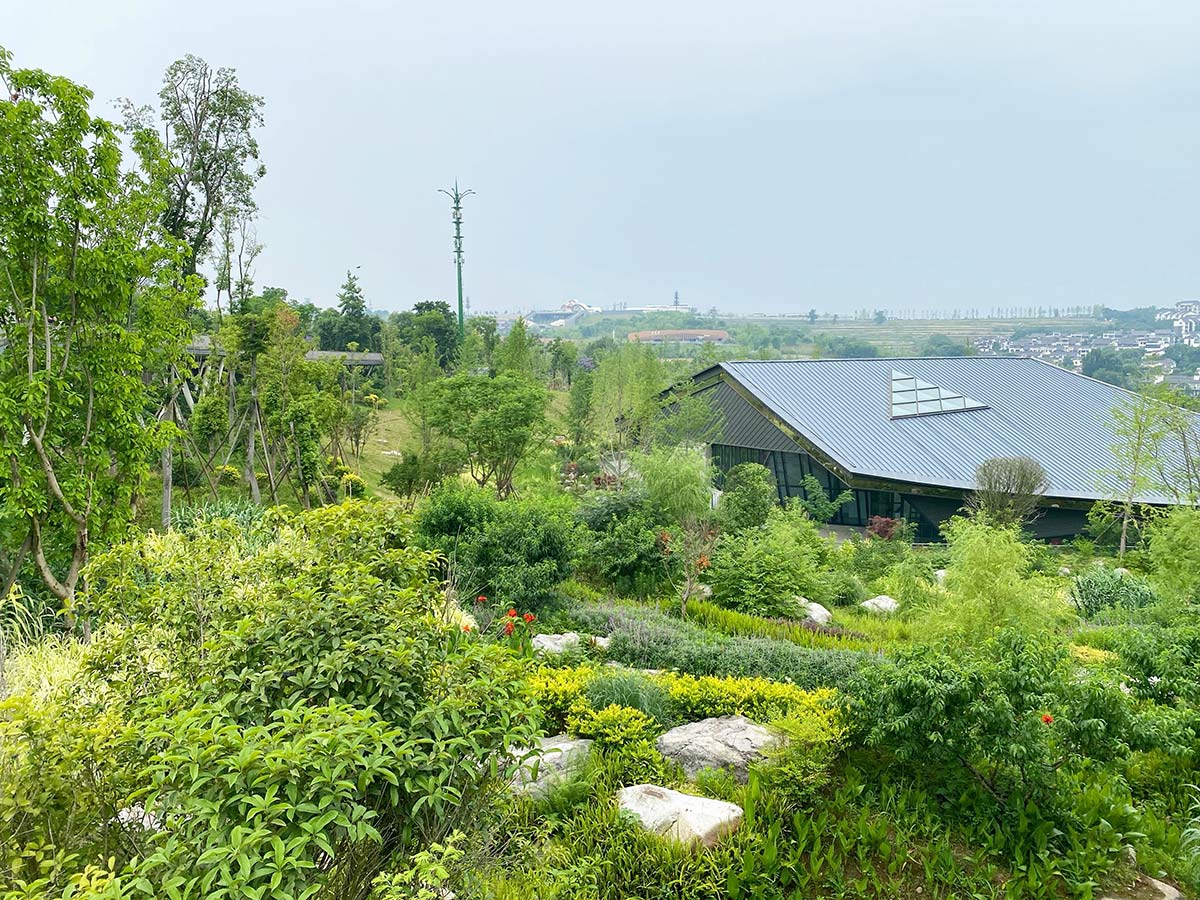 成都ジャイアントパンダ繁殖研究基地のパンダ