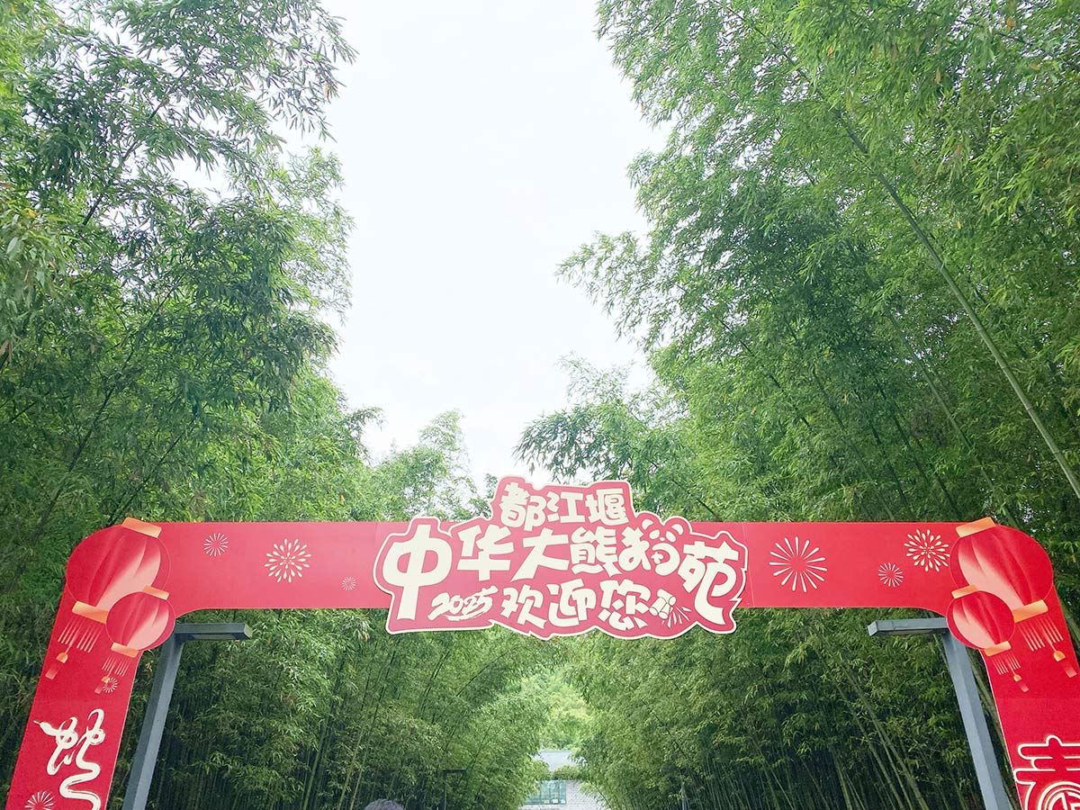 熊猫楽園(パンダバレー)