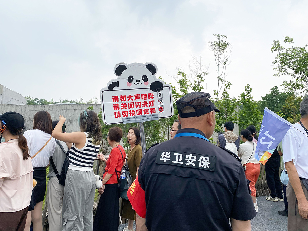 成都ジャイアントパンダ繁殖研究基地のパンダ