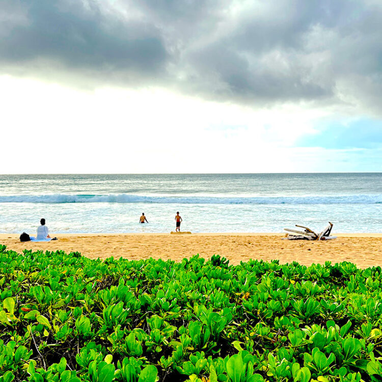 ハワイのビーチ