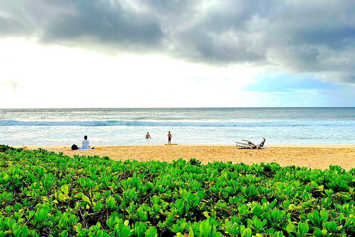 さすがハワイ！定番じゃない最高の過ごし方｜離島ステイや知られざる名所も