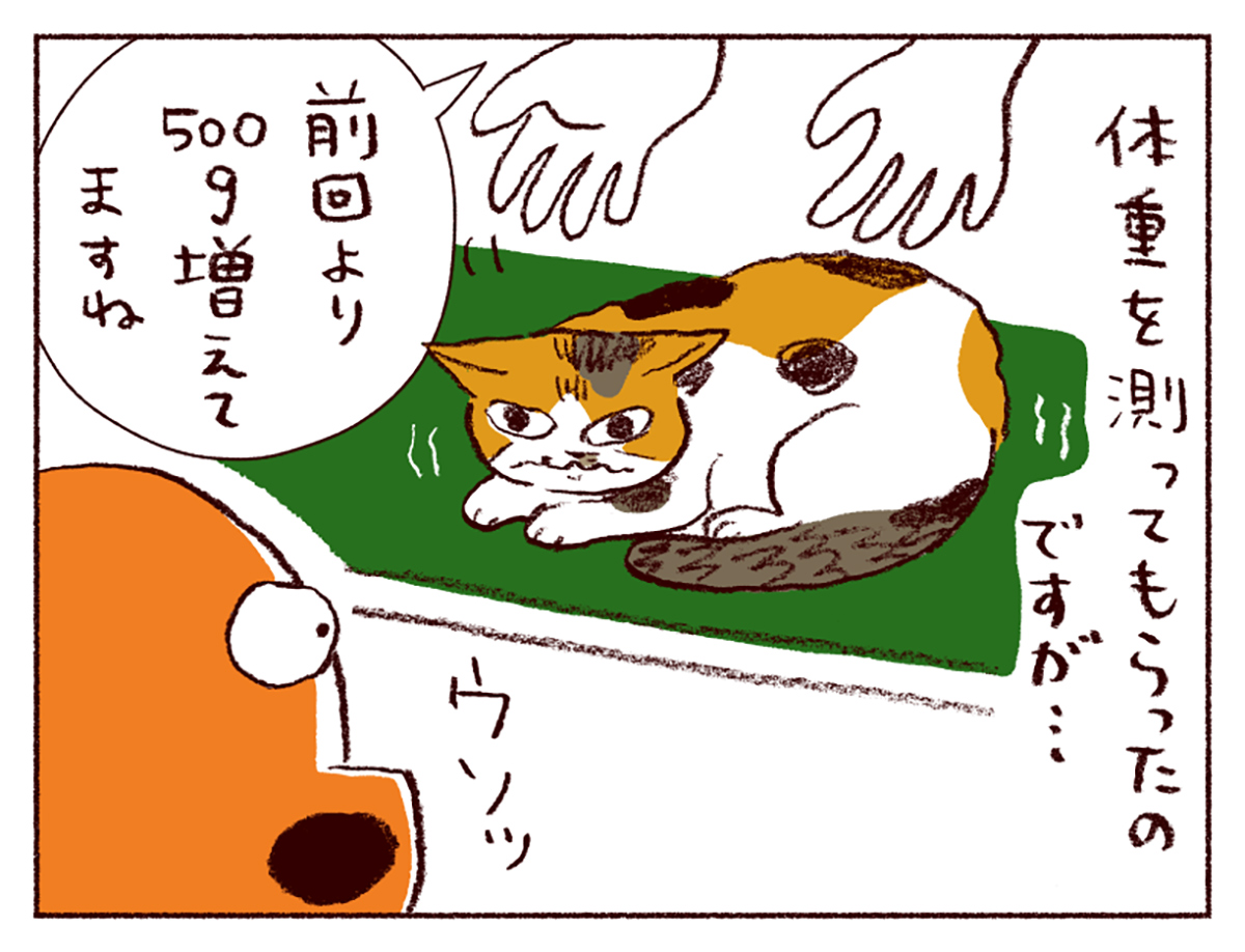 わたしうりひめよ 猫漫画 スケラッコ マンガ 無料 わたしうりひめよ 猫漫画 スケラッコ マンガ 無料