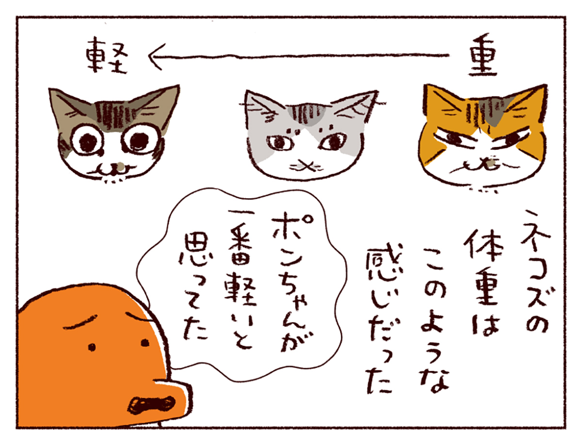わたしうりひめよ 猫漫画 スケラッコ マンガ 無料 わたしうりひめよ 猫漫画 スケラッコ マンガ 無料