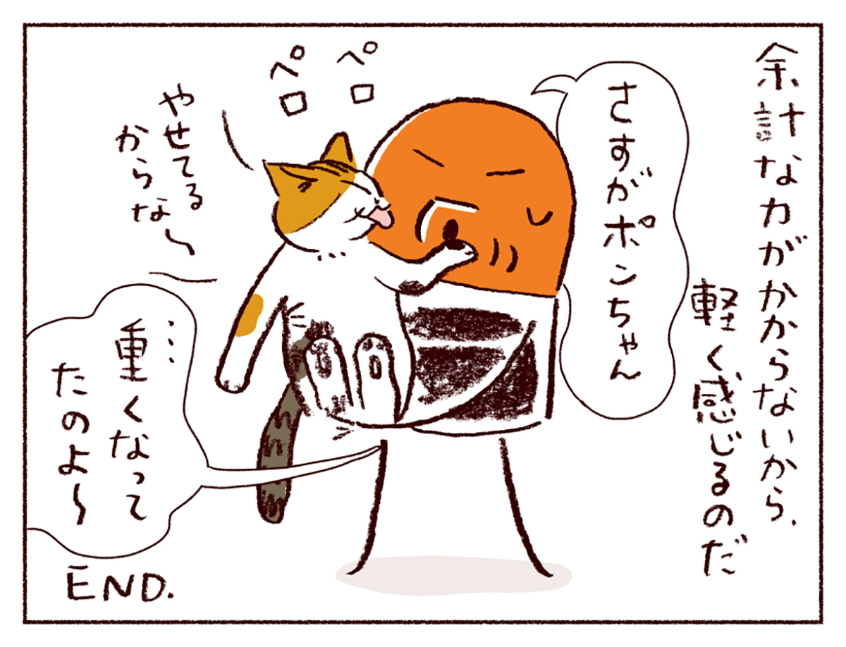 わたしうりひめよ 猫漫画 スケラッコ マンガ 無料 わたしうりひめよ 猫漫画 スケラッコ マンガ 無料