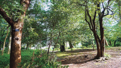 わざわざ行きたくなる！【武蔵小山】心も体もリフレッシュできる公園・銭湯・カフェ4選