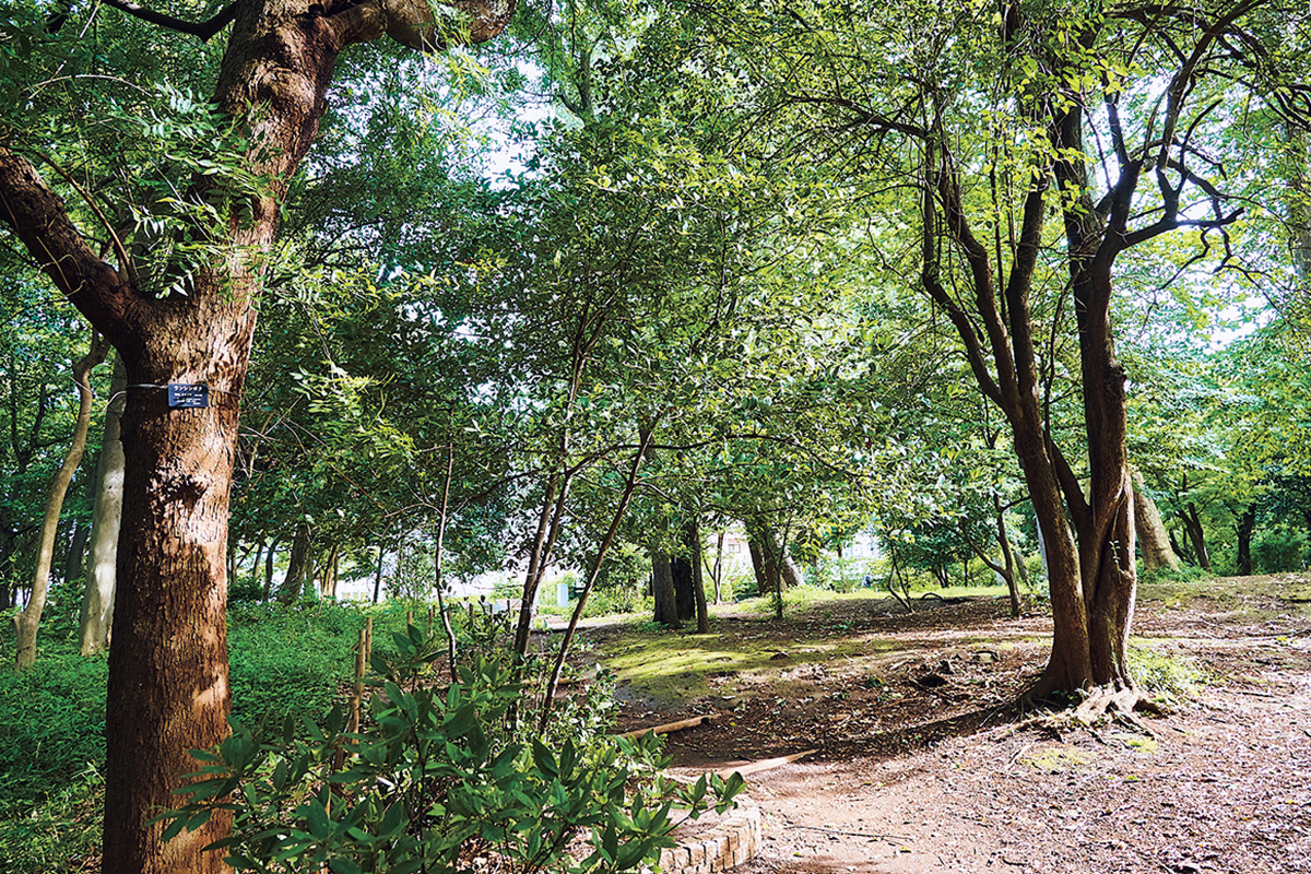 わざわざ行きたくなる！【武蔵小山】心も体もリフレッシュできる公園・銭湯・カフェ4選