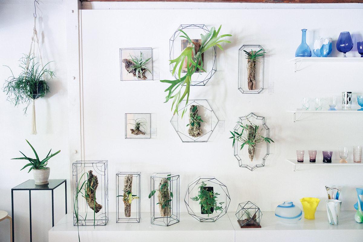 京都の〈Scape ガラスと植物〉