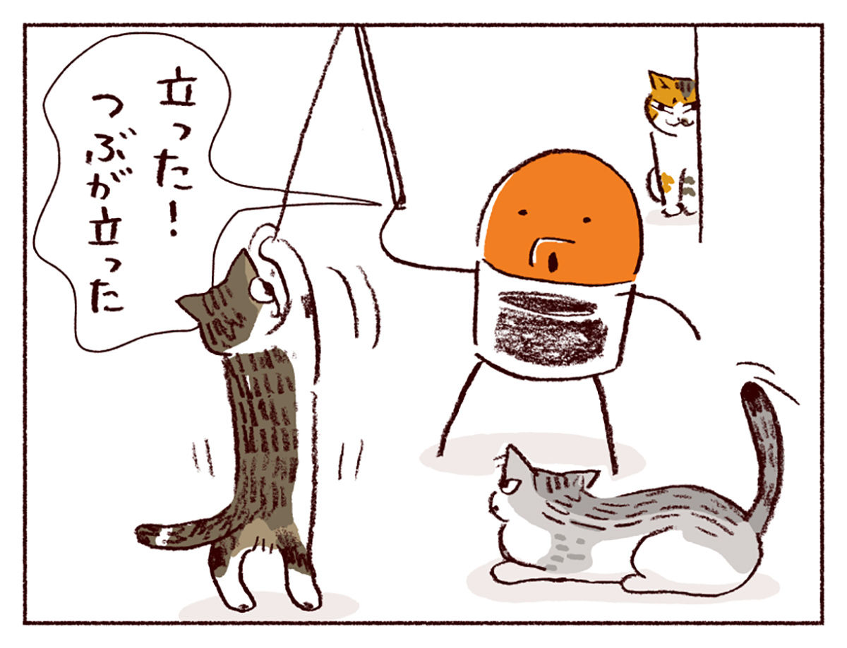 スケラッコ「わたしうりひめよ」 27話 ネコズとあそぼう スケラッコ「わたしうりひめよ」 27話 ネコズとあそぼう