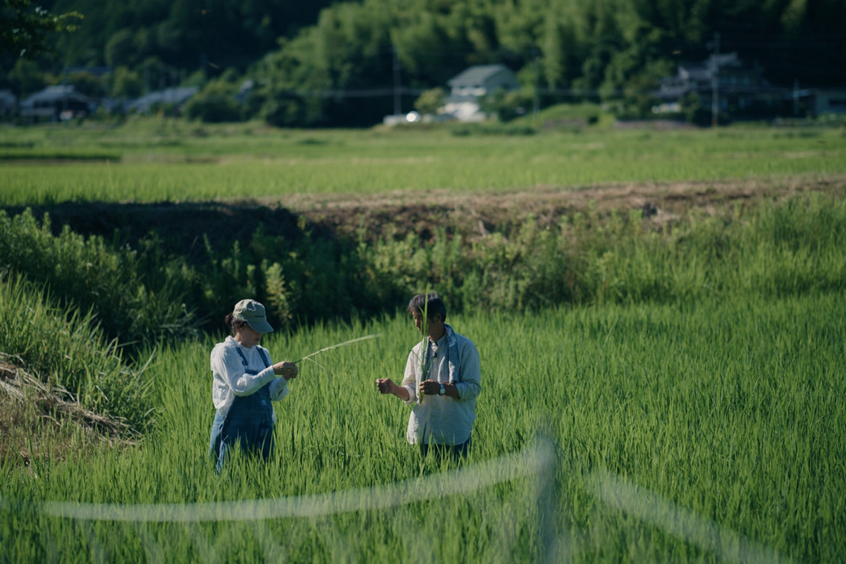 田んぼ　eatripのイベント