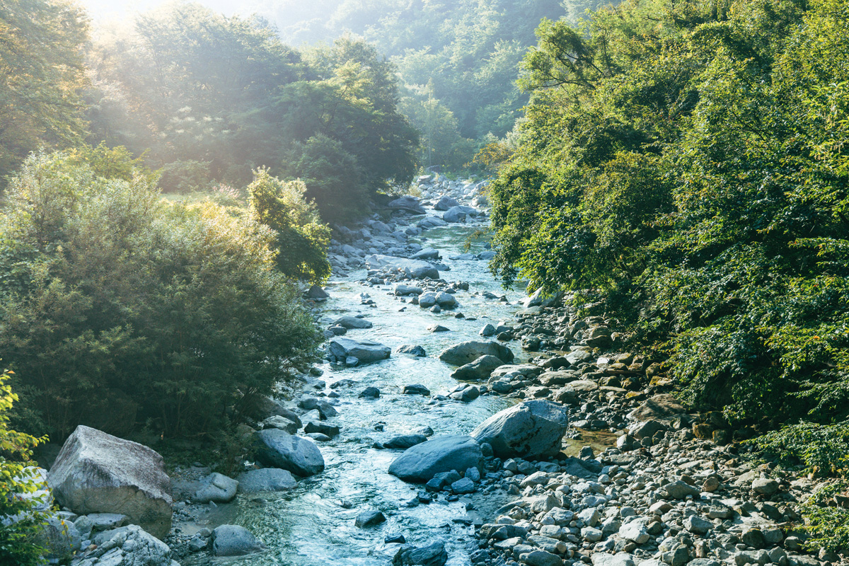 山梨のサントリー白州蒸溜所近くの尾白川