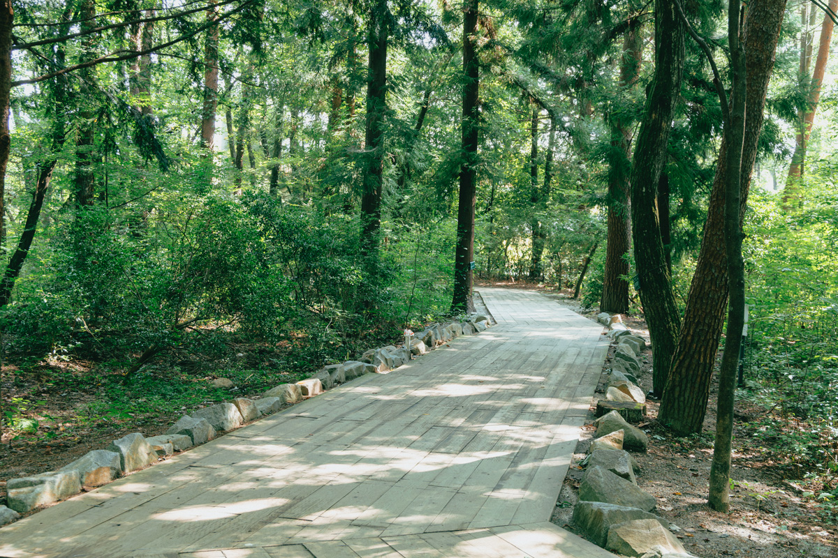 山梨のサントリー白州蒸溜所のバードサンクチュアリ
