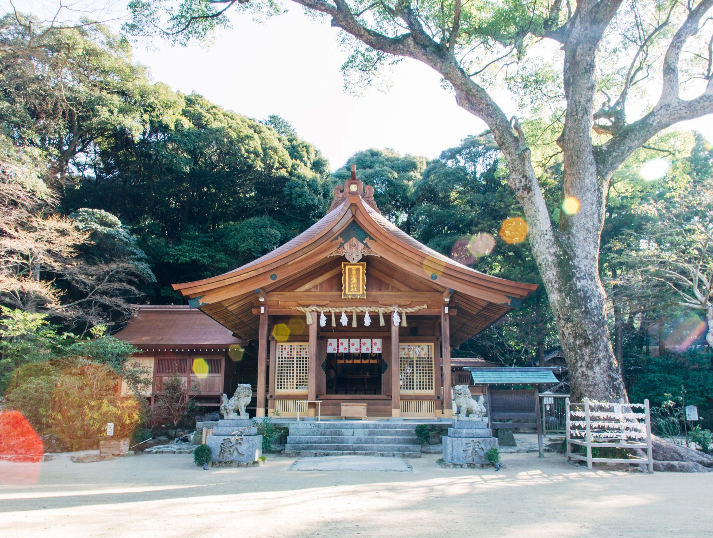 宝満宮 竈門神社