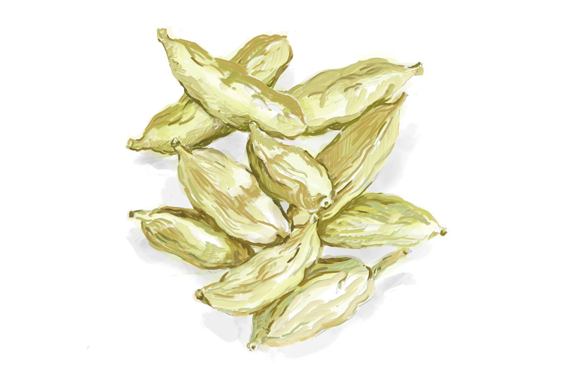 ジンの原料。カルダモン