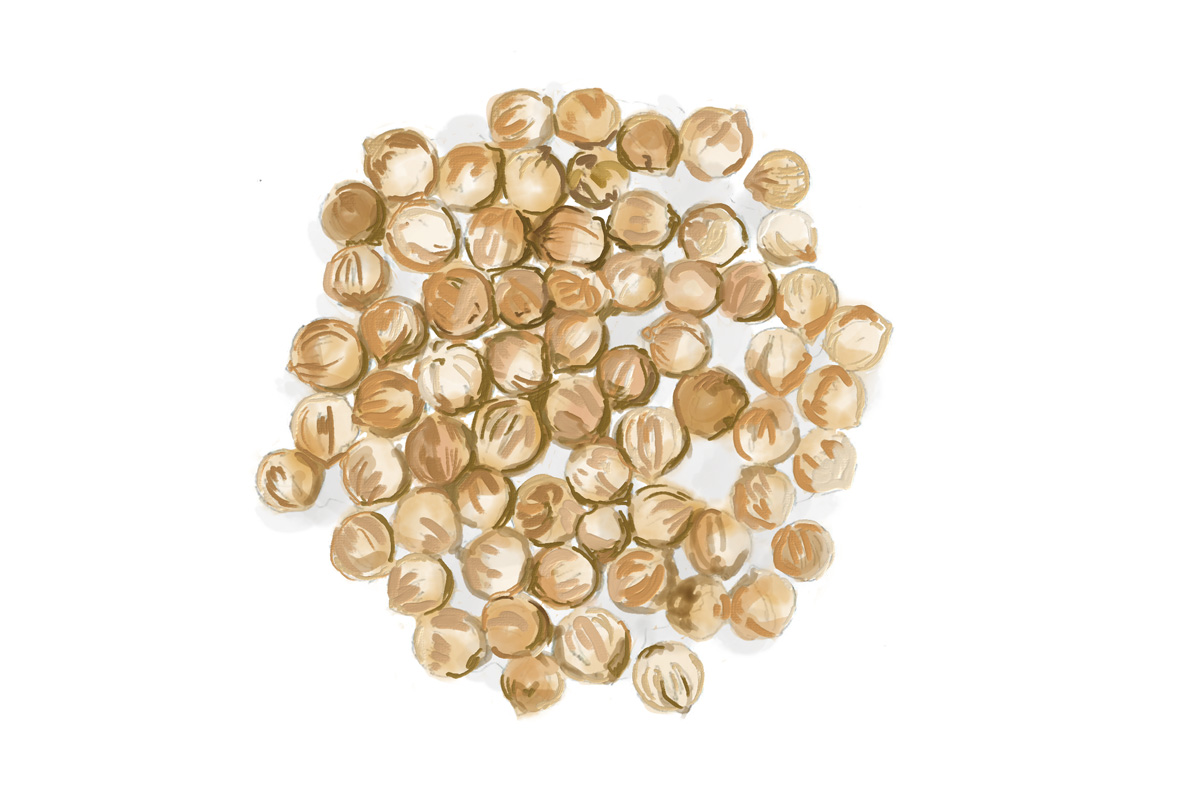 ジンの原料。コリアンダーシード