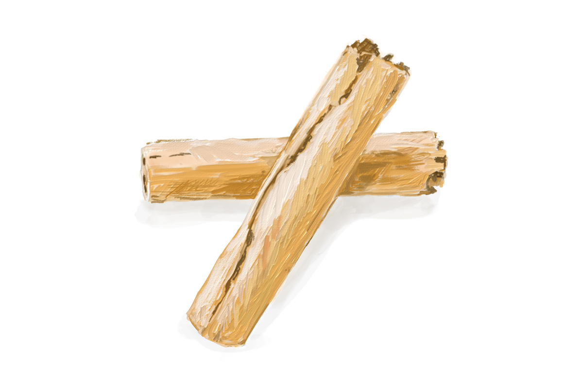 ジンの原料。シナモン