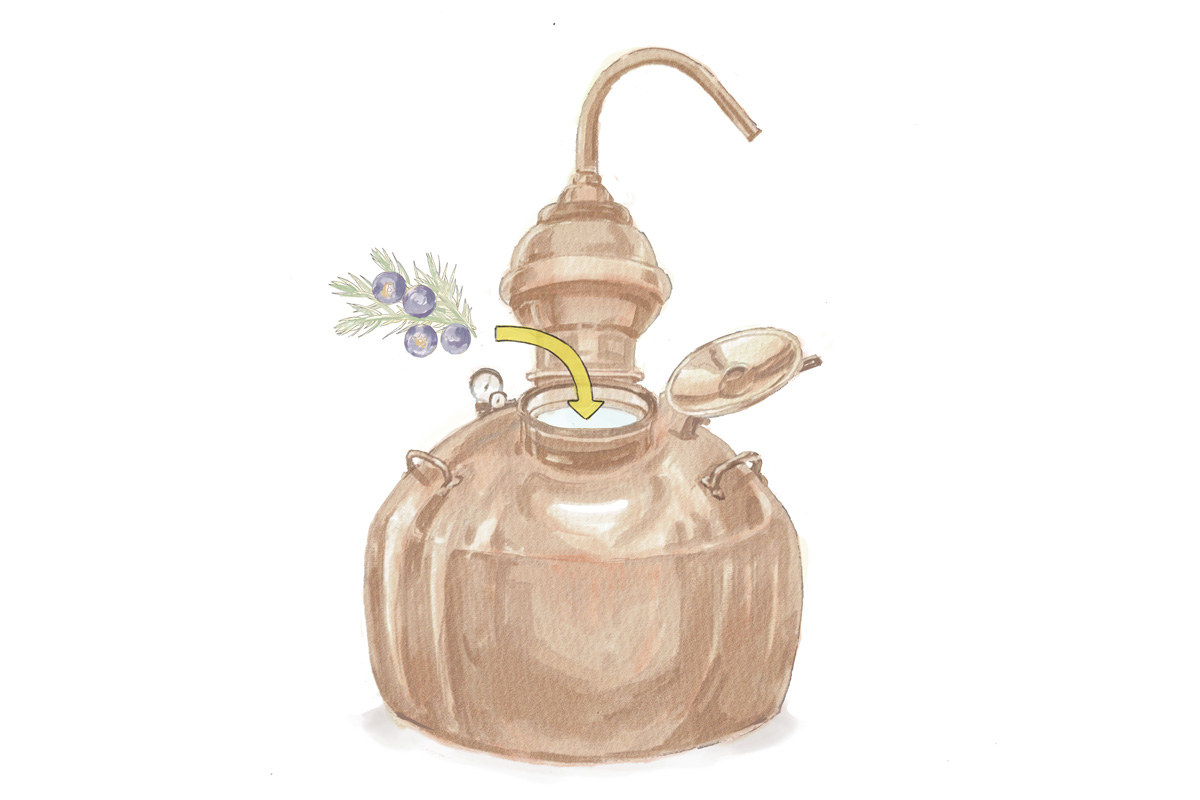 ジンの製造過程。再溜