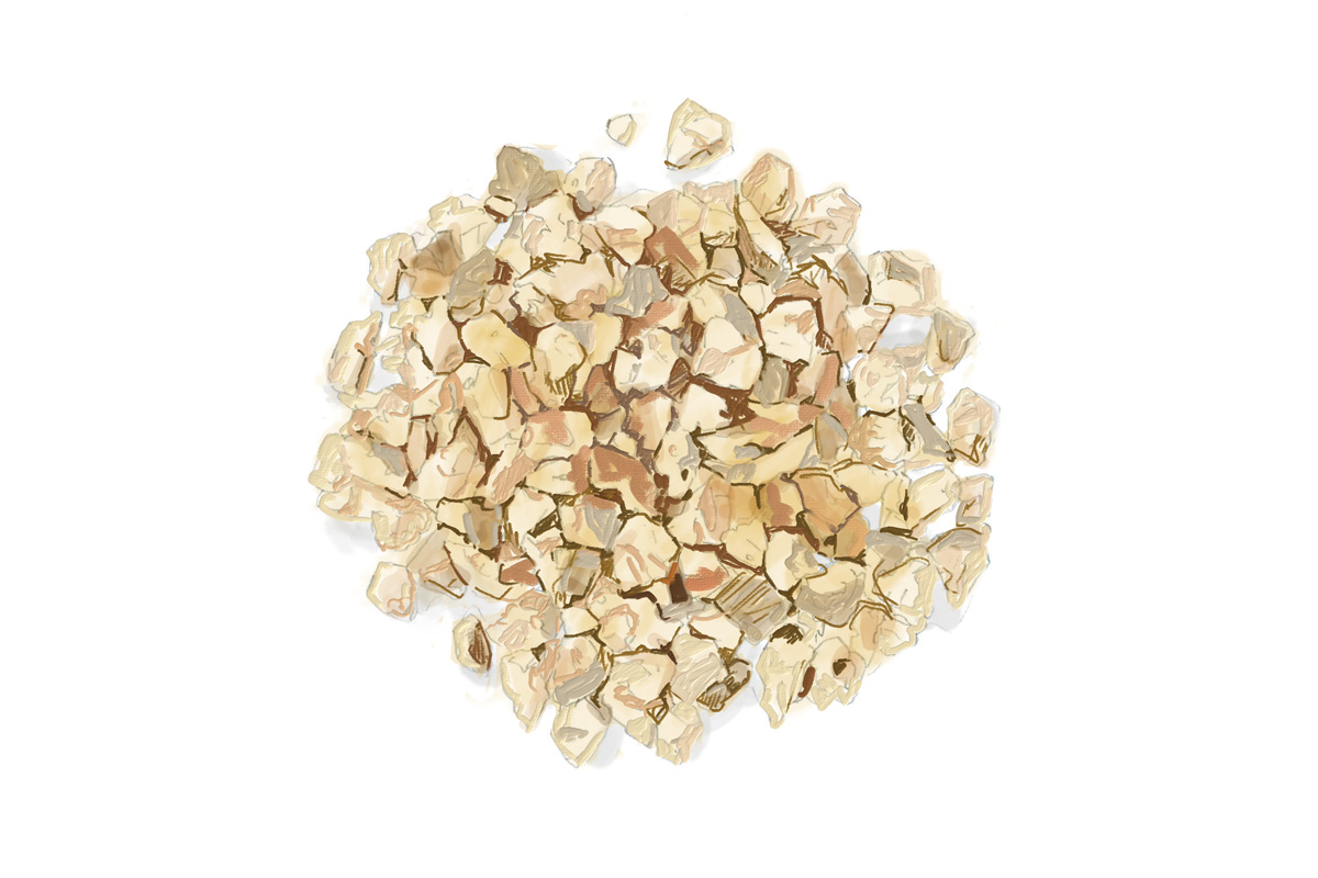 ジンの原料。ナツメグ